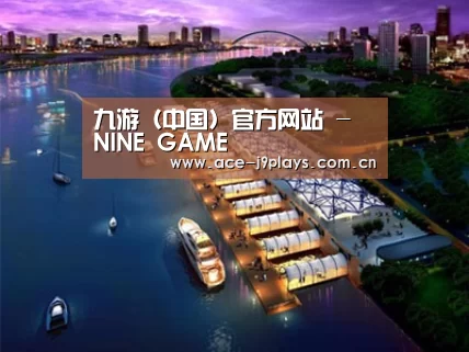 案例展示八