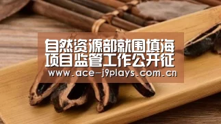 自然资源部就围填海项目监管工作公开征求意见【九游游戏中心手机版】(图4) 九游官网下载