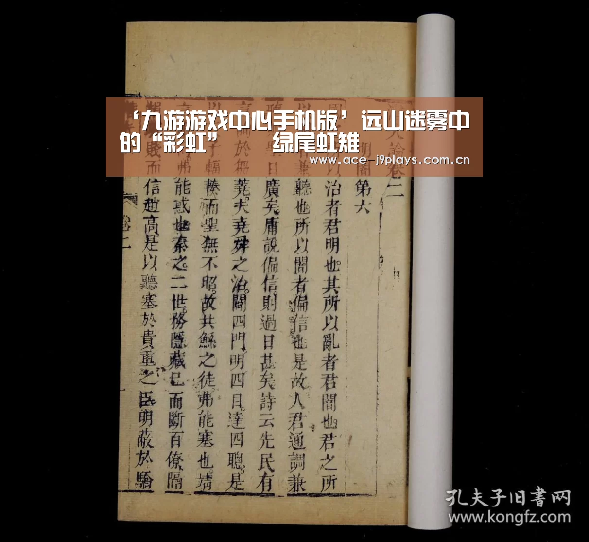 ‘九游游戏中心手机版’远山迷雾中的“彩虹”――绿尾虹雉(图2) 九游游戏盒子下载
