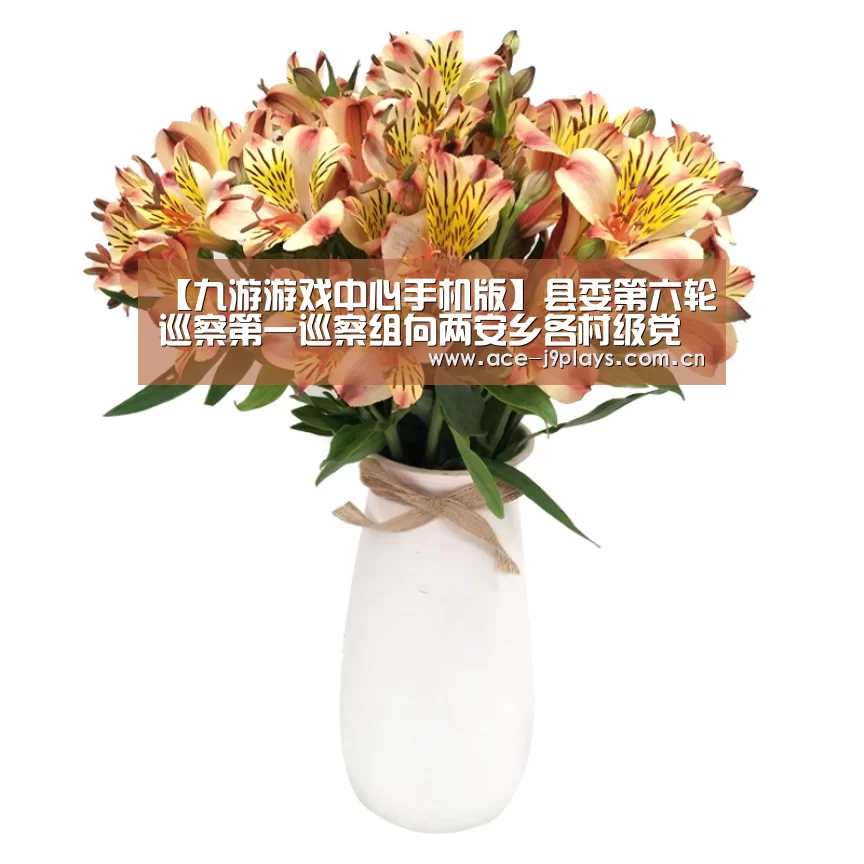 九游游戏平台官网